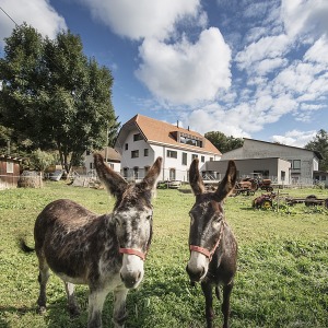 KLR Architekten - ERSATZBAU ALTE MÜHLE